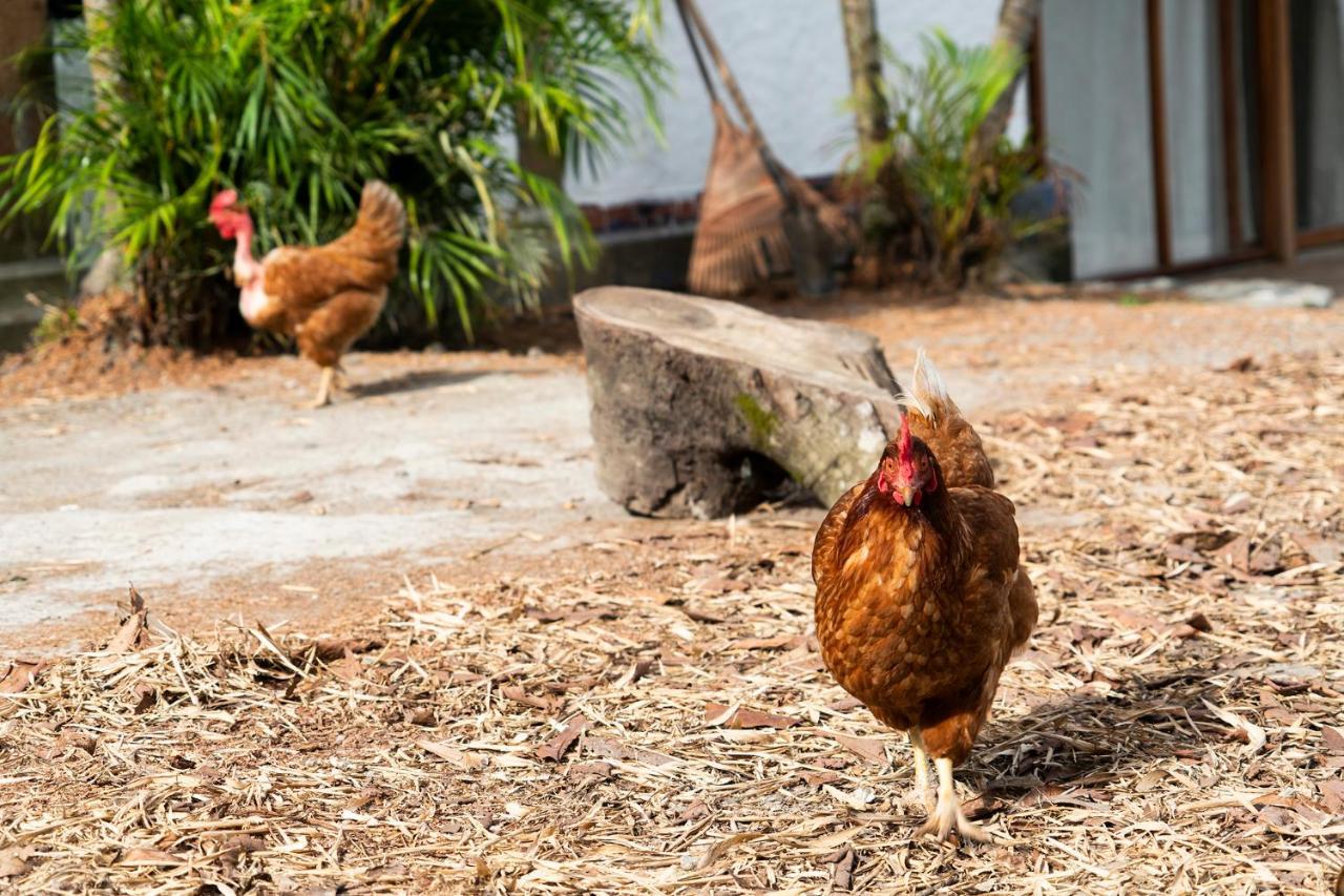Aldea Sabatinga Villa Manizales Luaran gambar