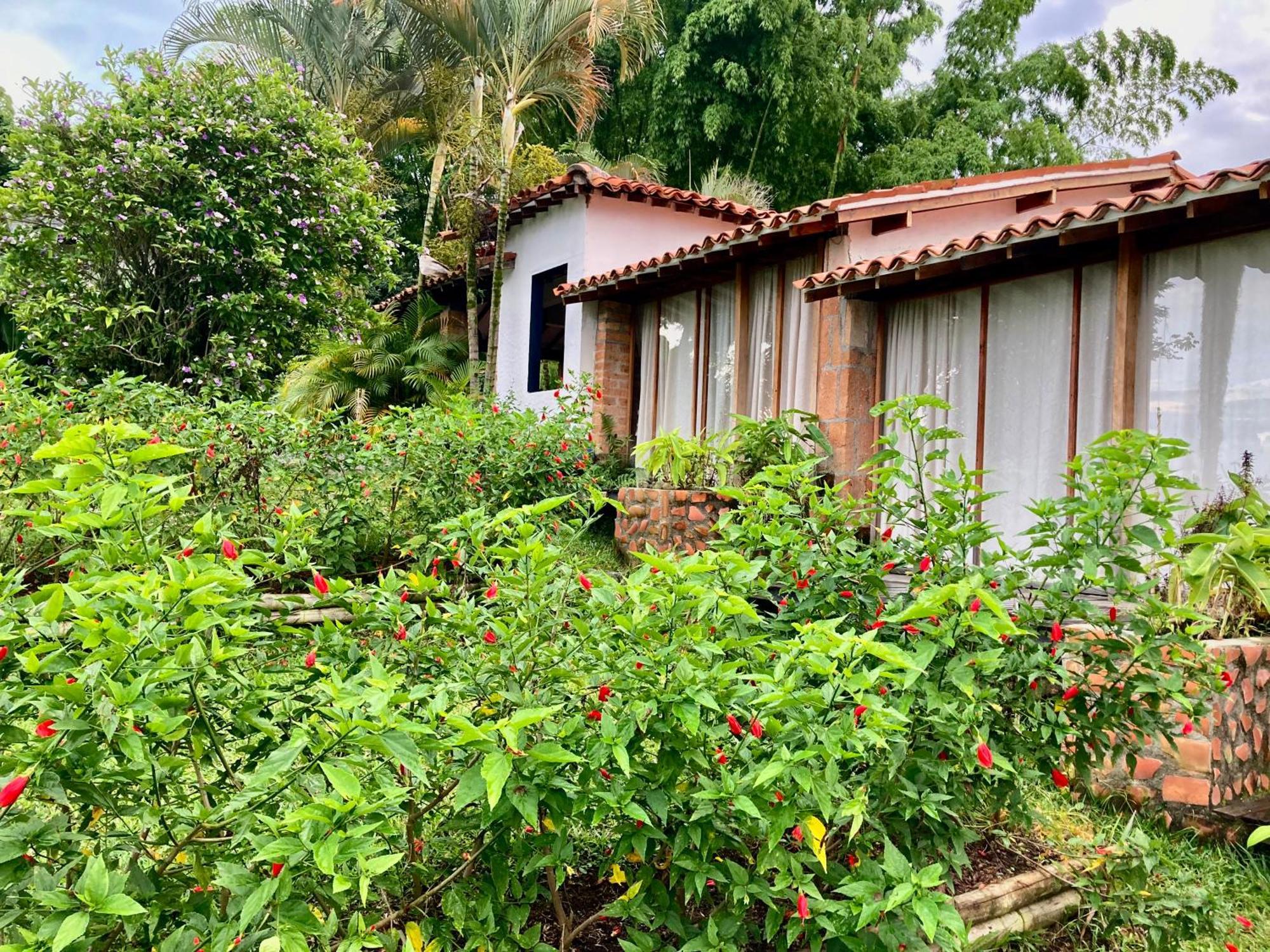 Aldea Sabatinga Villa Manizales Luaran gambar