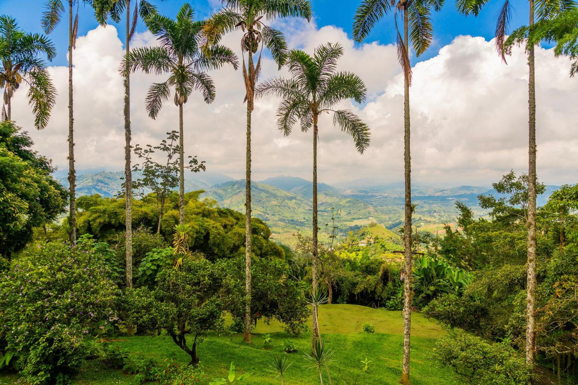 Aldea Sabatinga Villa Manizales Luaran gambar