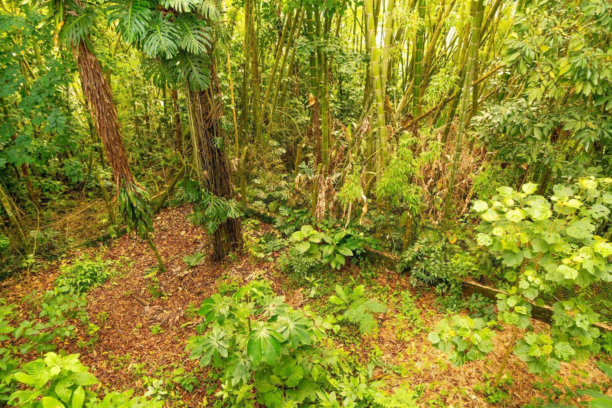 Aldea Sabatinga Villa Manizales Luaran gambar