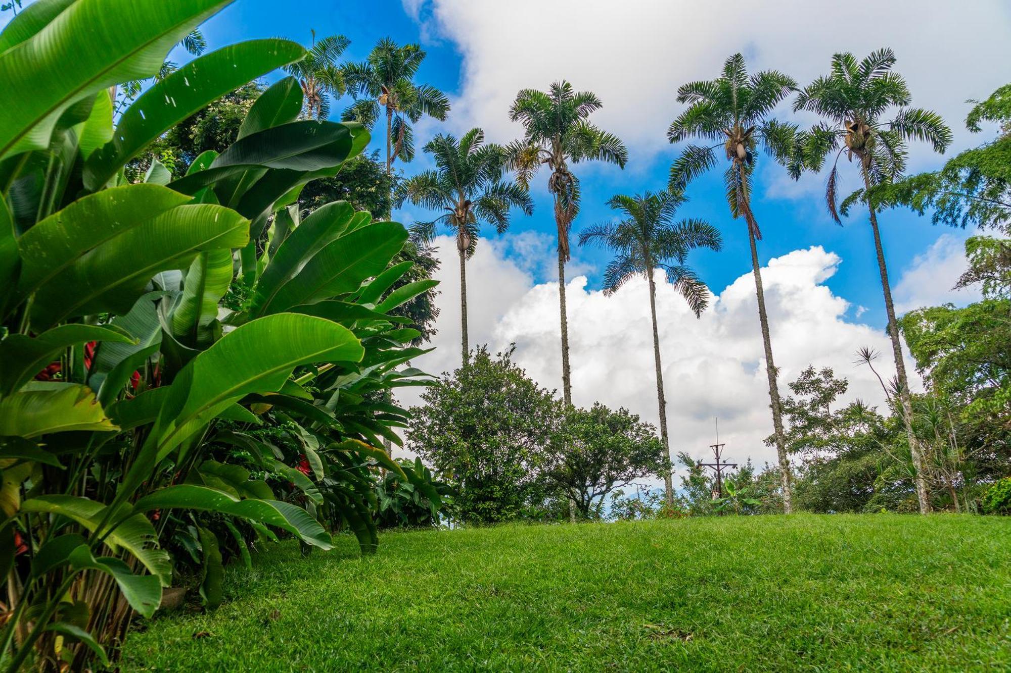 Aldea Sabatinga Villa Manizales Luaran gambar
